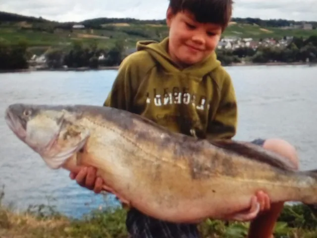 Zander