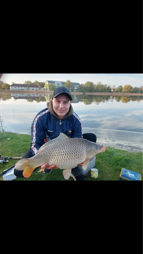 Karpfen