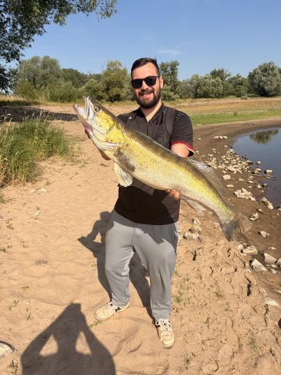 Zander
