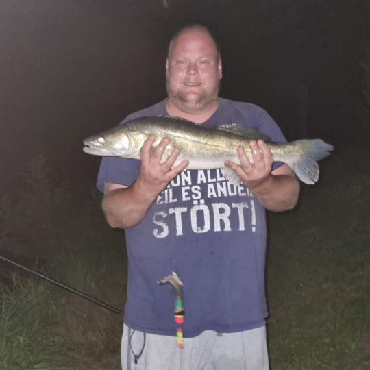 Zander