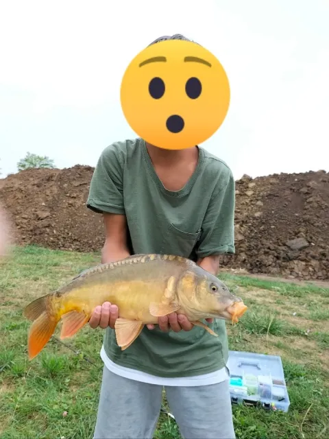 Karpfen