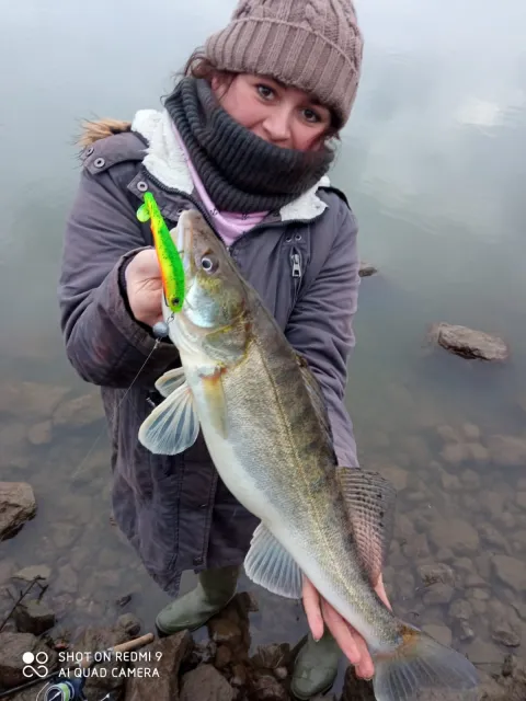 Zander