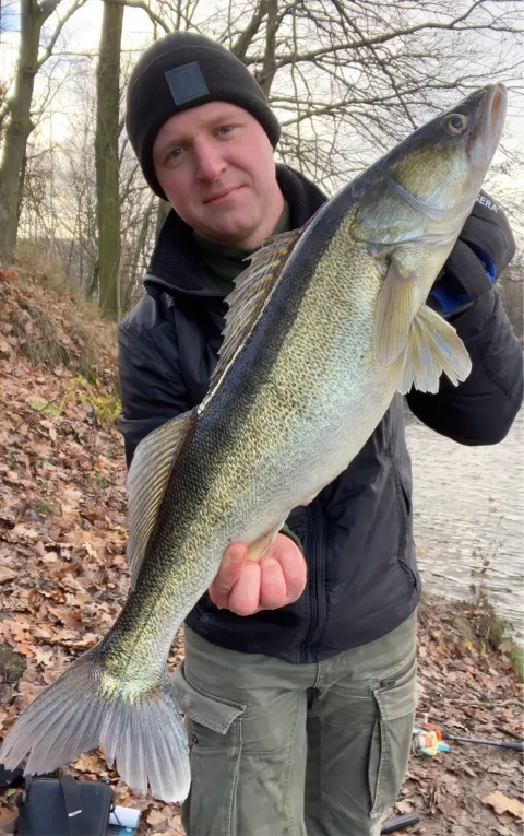 Zander