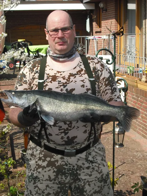 Zander