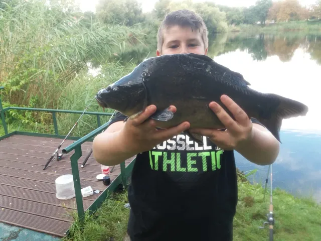 Karpfen