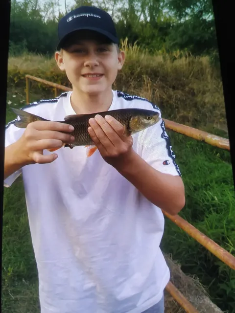 Döbel
