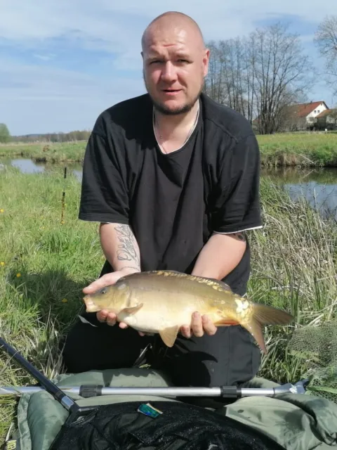 Karpfen