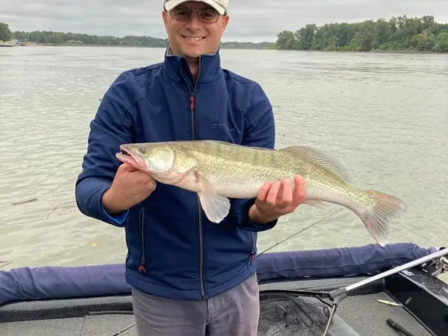 Zander