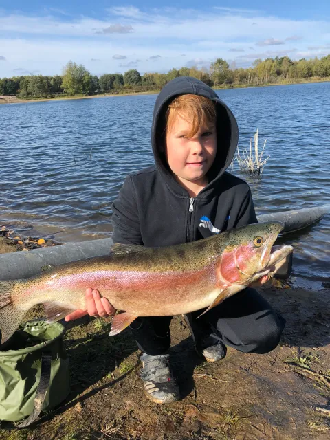 Regenbogenforelle