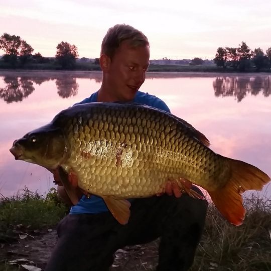 Karpfen