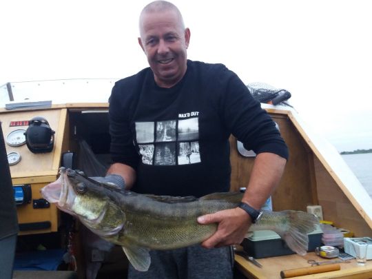 Zander
