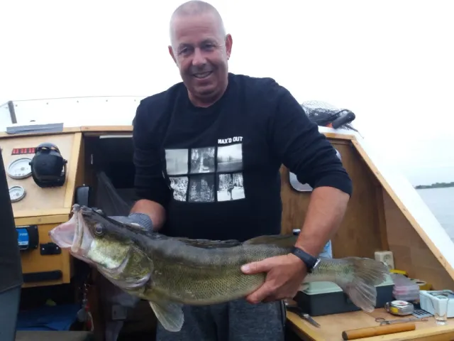Zander
