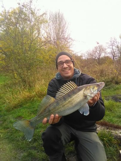 Zander