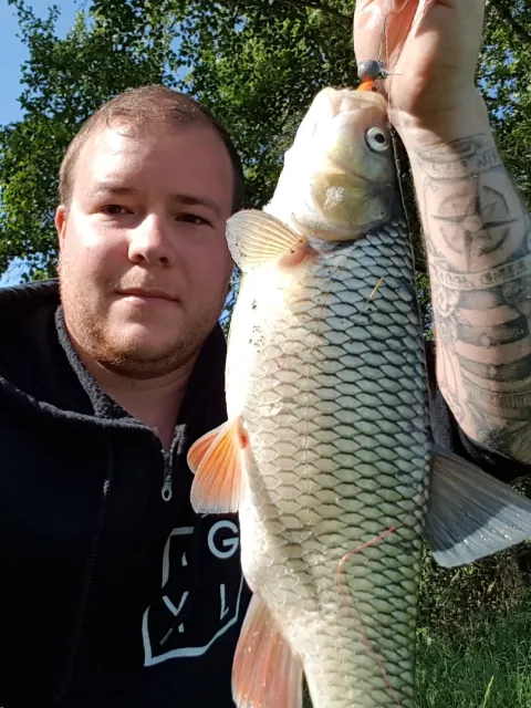 Döbel