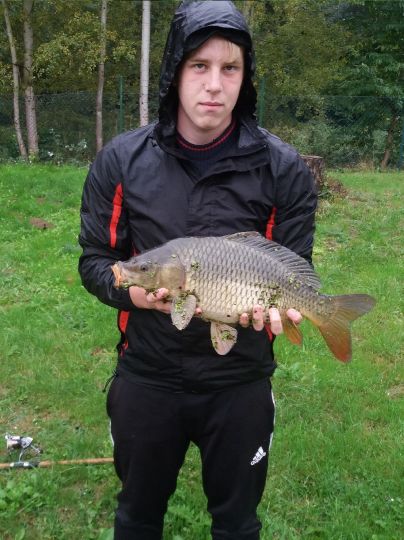 Karpfen