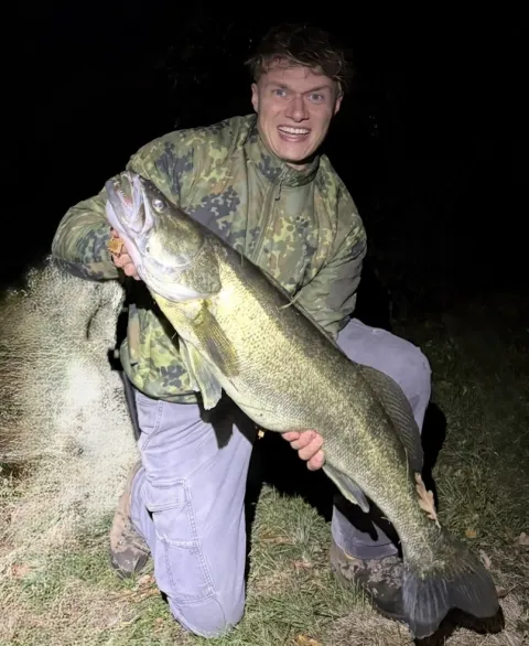 Zander