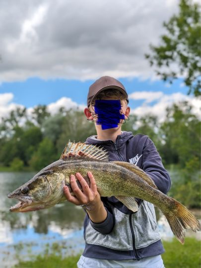 Zander
