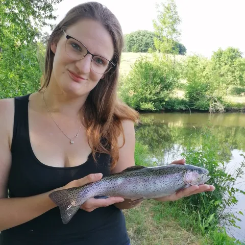 Regenbogenforelle