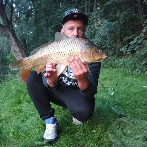 Karpfen