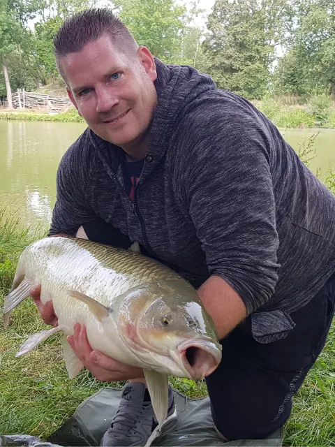 Graskarpfen