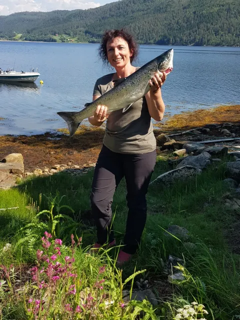 Lachs