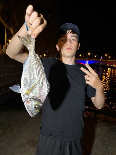 Dorade