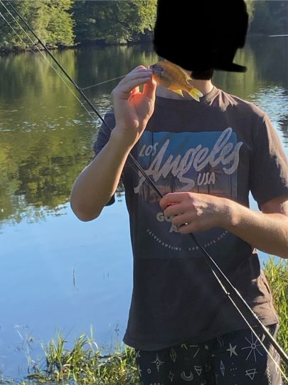 Sonnenbarsch