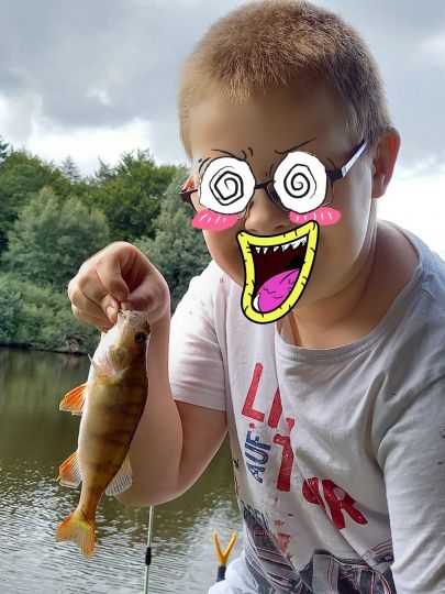 Flussbarsch