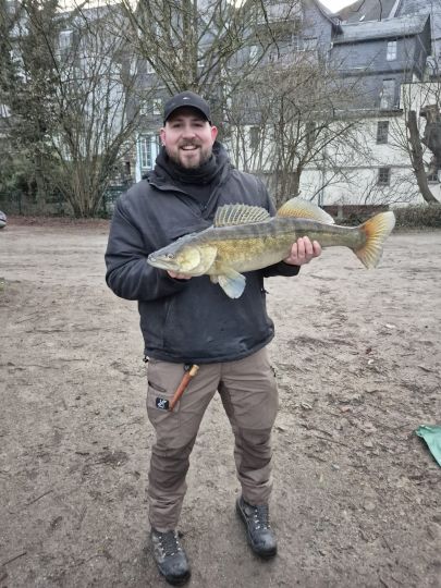 Zander