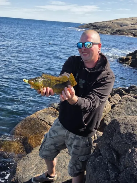 Lippfisch