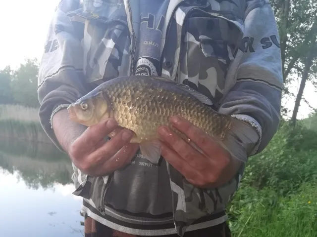 Giebel
