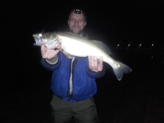 Zander