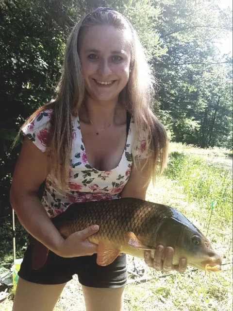 Karpfen
