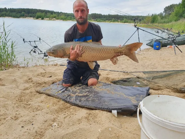 Graskarpfen