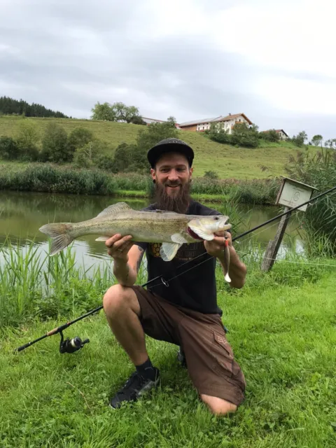Zander