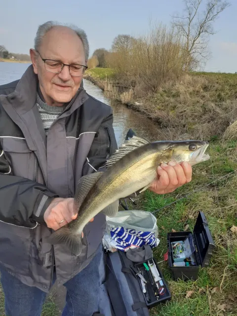 Zander