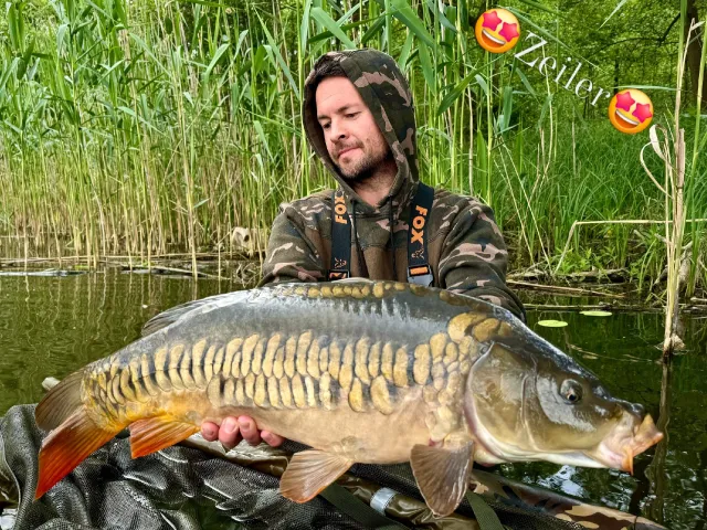 Karpfen