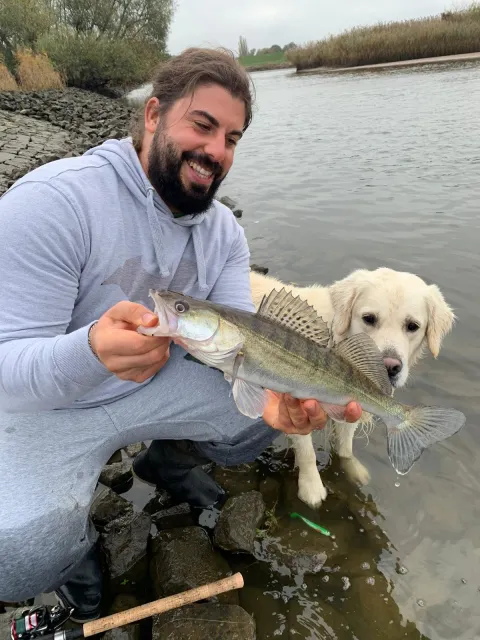 Zander