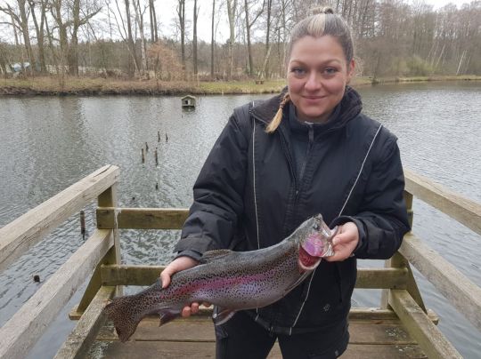 Regenbogenforelle