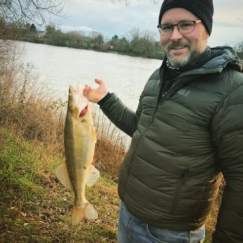 Zander