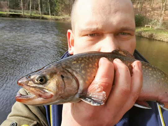 Birgte Teiche (Ibbenbüren) ALLE ANGELN