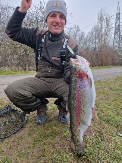 Regenbogenforelle
