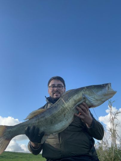 Zander