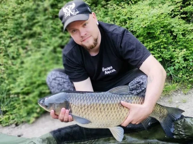 Graskarpfen