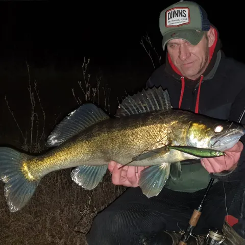 Zander