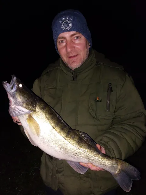 Zander