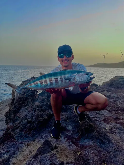 Bonito