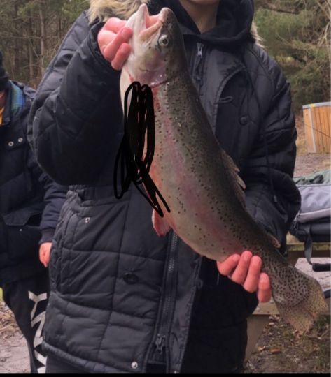 Regenbogenforelle