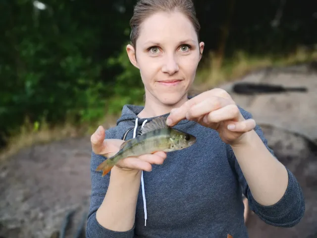 Flussbarsch