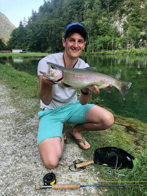 Regenbogenforelle